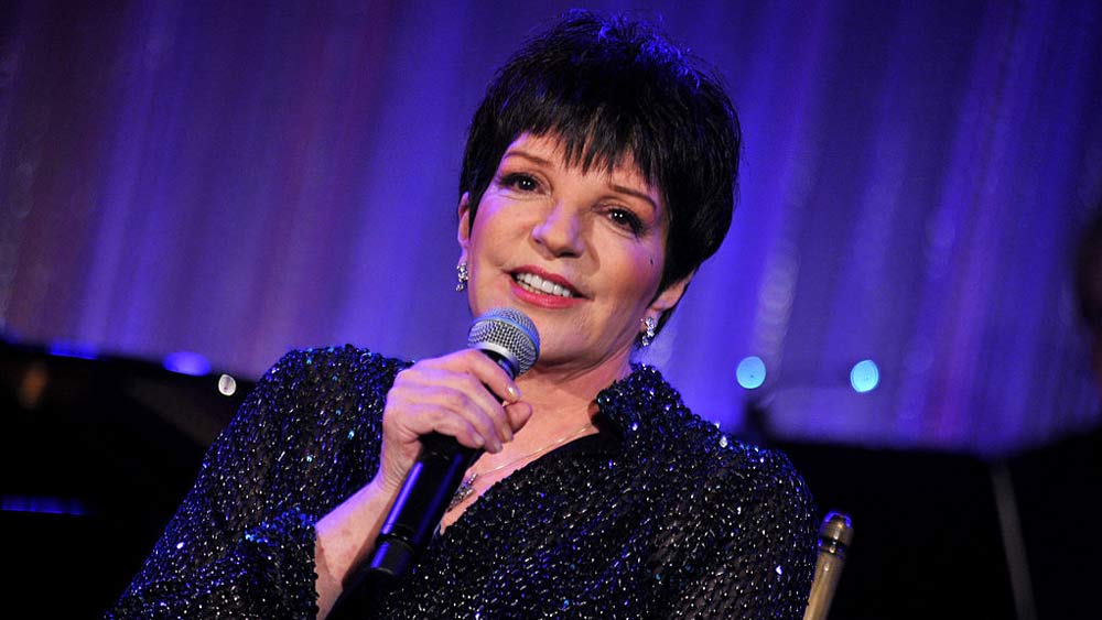 Liza Minnelli Tries on a New Role: Producer for 'DRAG: The Musical'